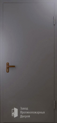 Фото двери «Техническая дверь №1 однопольная» в Реутове
