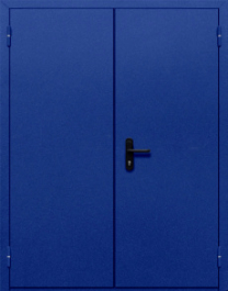 Фото двери «Двупольная глухая №33» в Реутове