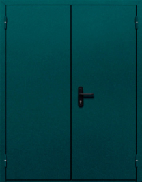 Фото двери «Двупольная глухая №36» в Реутове